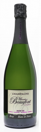 Blanc de Noirs Brut Champagne